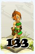 Un personnage du jeu Dofus, Crâ-Air, au niveau 133