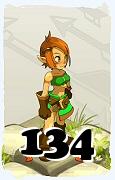 Un personaggio del gioco Dofus, Ocra-Aria, al livello 134