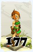 Un personnage du jeu Dofus, Crâ-Air, au niveau 177