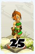 Un personnage du jeu Dofus, Crâ-Air, au niveau 25