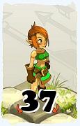 Un personaggio del gioco Dofus, Ocra-Aria, al livello 37