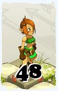 A Dofus character, Rogue-Air, by level 48