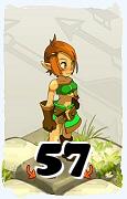 Un personnage du jeu Dofus, Crâ-Air, au niveau 57