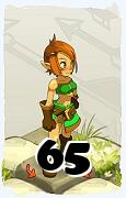 Un personaggio del gioco Dofus, Ocra-Aria, al livello 65