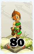 Un personnage du jeu Dofus, Crâ-Air, au niveau 80