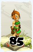 Un personaggio del gioco Dofus, Ocra-Aria, al livello 85