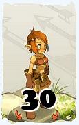 Un personaggio del gioco Dofus, Ocra-Aria, al livello 30