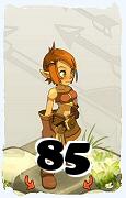 Un personnage du jeu Dofus, Crâ-Air, au niveau 85