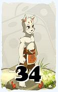 Un personaggio del gioco Dofus, Ecaflip-Aria, al livello 34