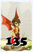 Un personnage du jeu Dofus, Eniripsa-Air, au niveau 135