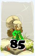 Um personagem do jogo Dofus, Xelor-Ar, de nivel 85