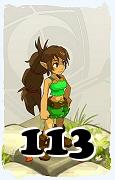 Un personaggio del gioco Dofus, Feca-Aria, al livello 113