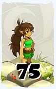 Un personnage du jeu Dofus, Féca-Air, au niveau 75