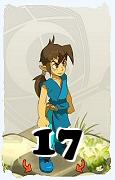 A Dofus character, Feca-Air, by level 17