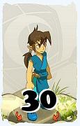 A Dofus character, Feca-Air, by level 30