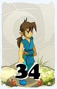 A Dofus character, Feca-Air, by level 34