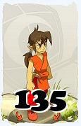 A Dofus character, Feca-Air, by level 135