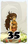 A Dofus character, Feca-Air, by level 35