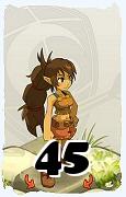 A Dofus character, Feca-Air, by level 45