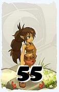 A Dofus character, Feca-Air, by level 55