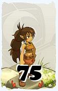 A Dofus character, Feca-Air, by level 75