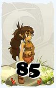 A Dofus character, Feca-Air, by level 85