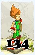 A Dofus character, Iop-Air, by level 134