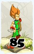 A Dofus character, Sacrier-Air, by level 85