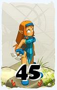 A Dofus character, Iop-Air, by level 45