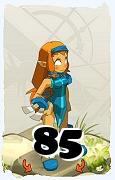 A Dofus character, Sacrier-Air, by level 85