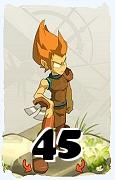 A Dofus character, Iop-Air, by level 45