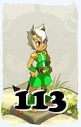 Un personnage du jeu Dofus, Eniripsa-Air, au niveau 113