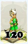 Un personnage du jeu Dofus, Osamodas-Air, au niveau 120