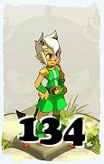 Un personaggio del gioco Dofus, Osamodas-Aria, al livello 134