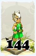 Un personnage du jeu Dofus, Osamodas-Air, au niveau 144