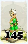 Un personaggio del gioco Dofus, Osamodas-Aria, al livello 145