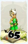 Un personnage du jeu Dofus, Osamodas-Air, au niveau 65