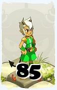 A Dofus character, Ecaflip-Air, by level 85