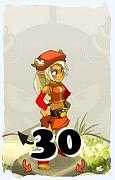 Un personnage du jeu Dofus, Osamodas-Air, au niveau 30