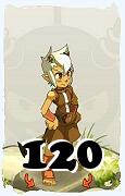 Un personnage du jeu Dofus, Osamodas-Air, au niveau 120