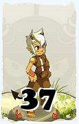 A Dofus character, Osamodas-Air, by level 37