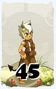 Un personaggio del gioco Dofus, Osamodas-Aria, al livello 45