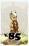 Um personagem do jogo Dofus, Osamodas-Ar, de nivel 85