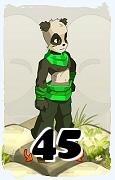 A Dofus character, Pandawa-Air, by level 45