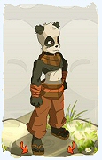 Un personnage du jeu Dofus, Pandawa-Air, au niveau 0