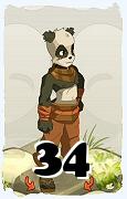 A Dofus character, Pandawa-Air, by level 34