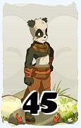 A Dofus character, Pandawa-Air, by level 45