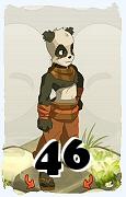 Un personnage du jeu Dofus, Pandawa-Air, au niveau 46