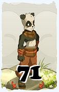 Un personaggio del gioco Dofus, Pandawa-Aria, al livello 71