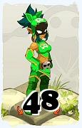 A Dofus character, Rogue-Air, by level 48